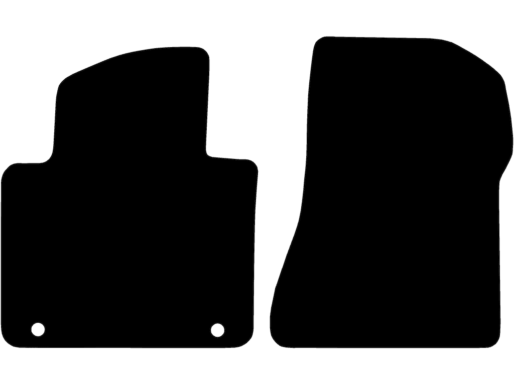 Kaksoiskiinnitys