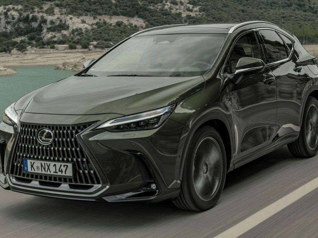 Tavaratilan matot Lexus NX AZ20 2022 - 2025-autoihin